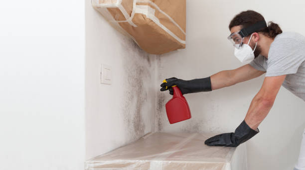 Professional Bathroom Mold Removal technician working in Jonestown, PA