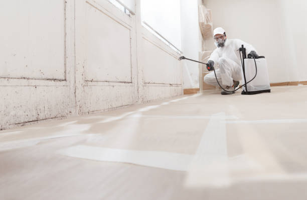 24/7 Emergency Bathroom Mold Removal experts in Jonestown, PA