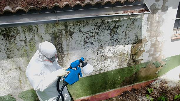Top rated local Bathroom Mold Removal specialists in Jonestown, PA